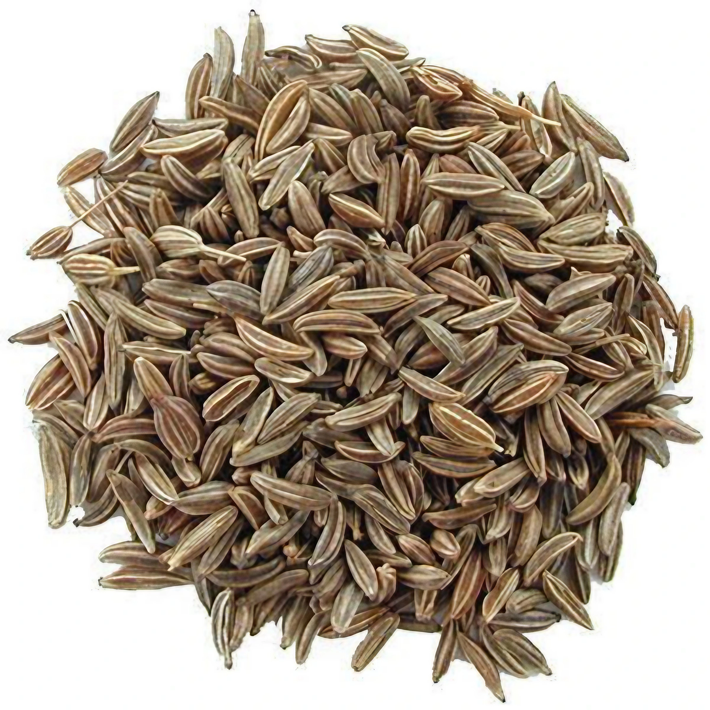 Caraway