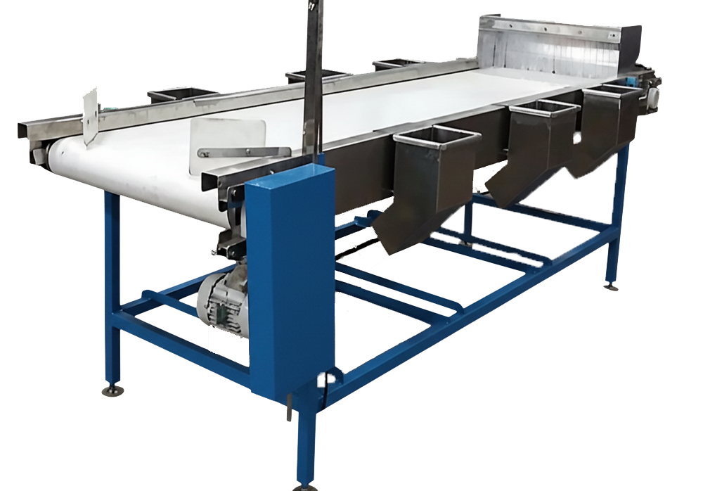 Sorting Belt Conveyor